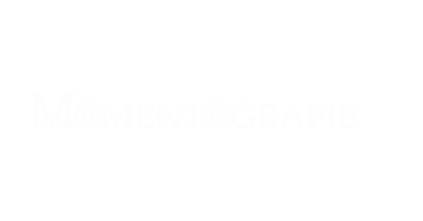 Momentografie